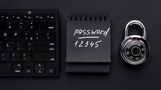5.13-Password_Manager-IT_Support-PasswordSafety