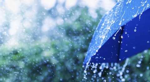 Business Continuity Starts with Power Protection: UPS Essentials for Monsoon Season